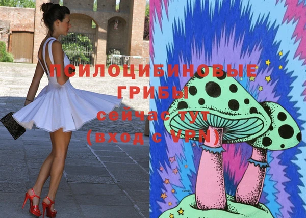метадон Лагань