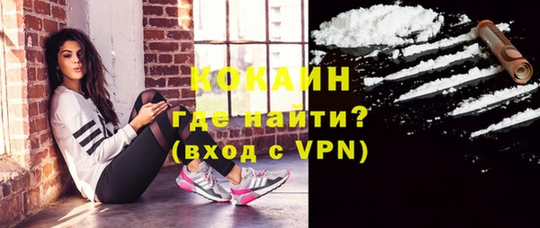 сатива Ладушкин
