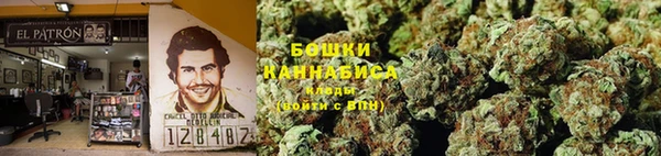 сатива Ладушкин