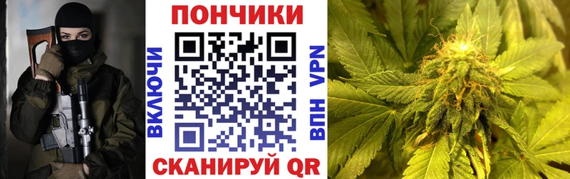 Каннабис план  Купить где  Новокузнецк 